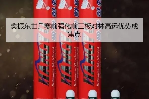 樊振东世乒赛前强化前三板对林高远优势成焦点