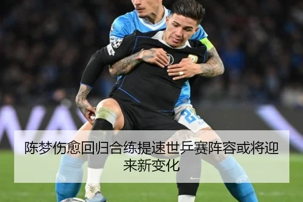 陈梦伤愈回归合练提速世乒赛阵容或将迎来新变化
